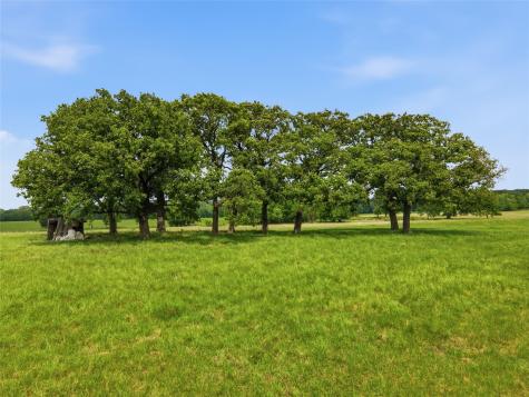 000 Cr 3341 Sulphur Springs TX 75482