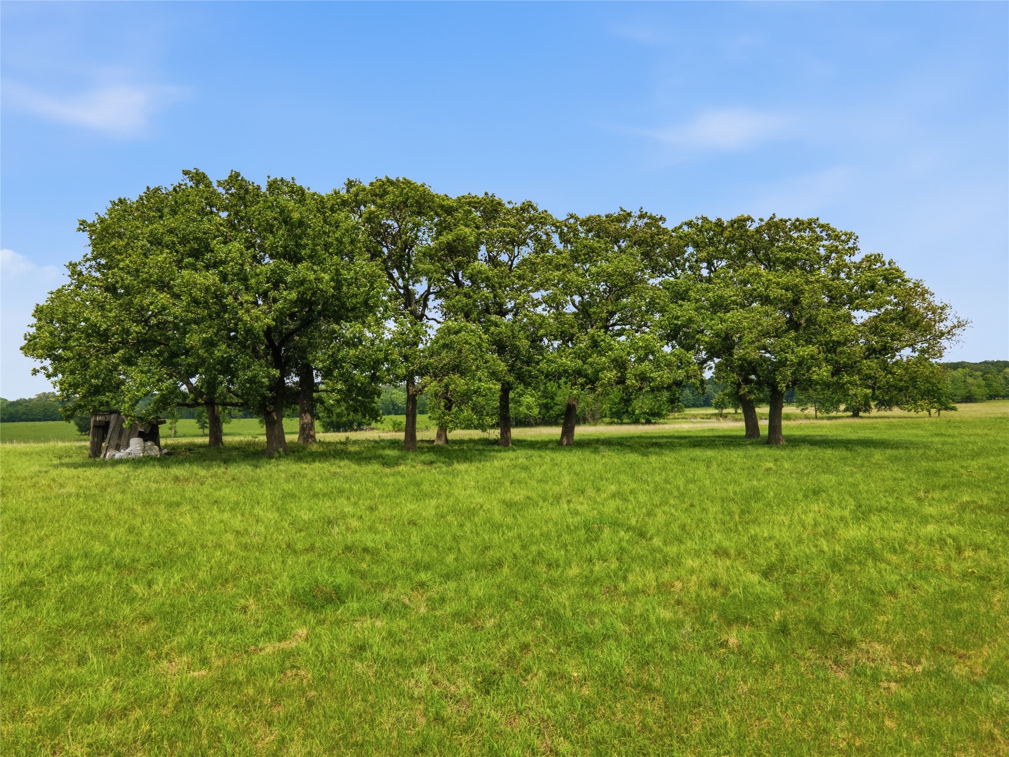 000 Cr 3341 Sulphur Springs TX 75482