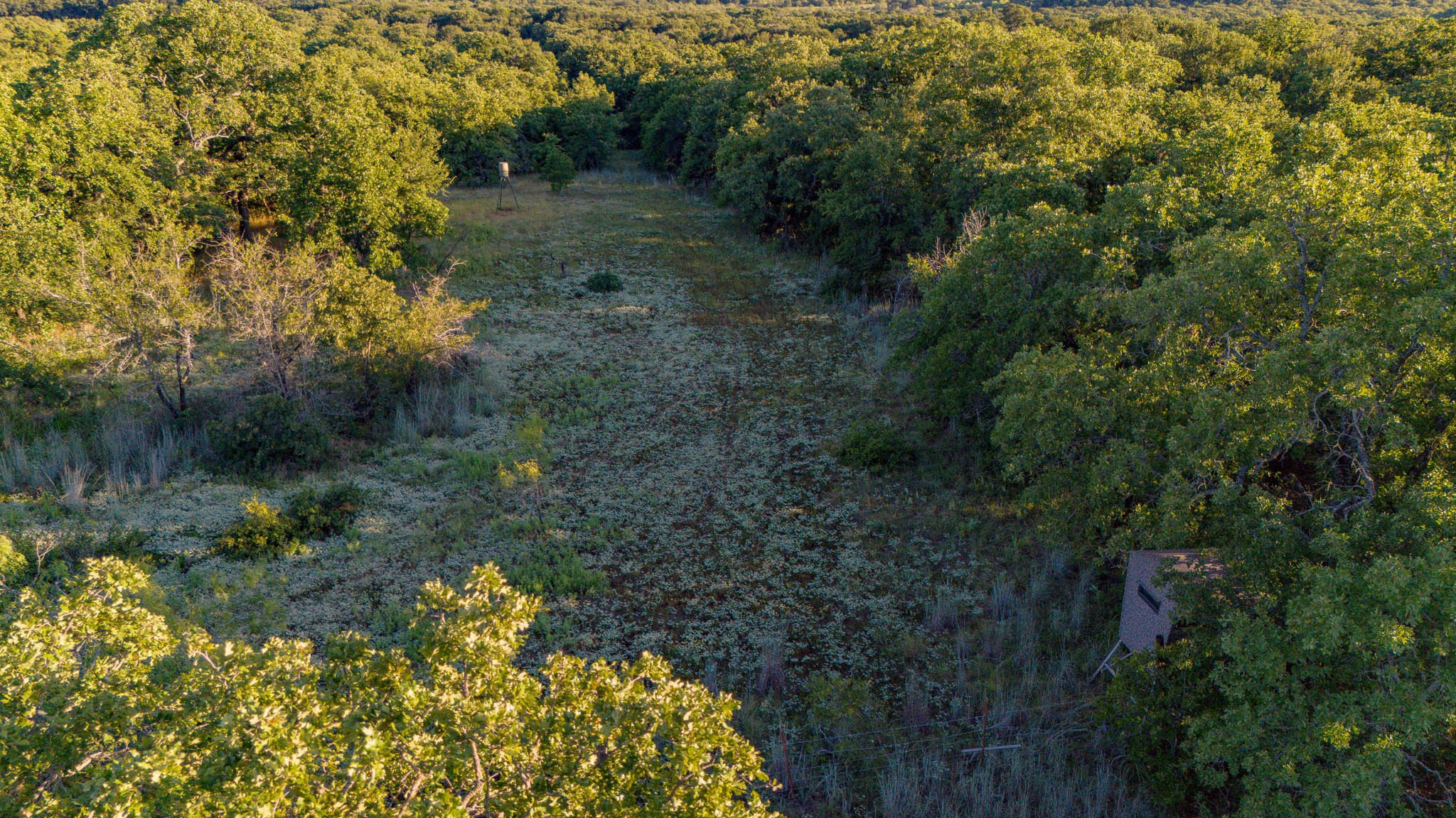 Tbd Bloodworth Road Road Bowie TX 76230