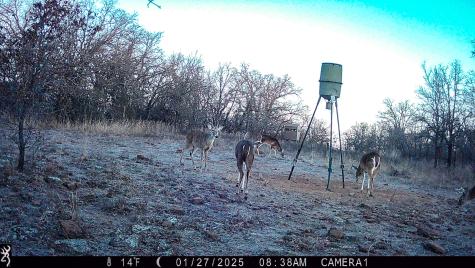 Tbd Bloodworth Road Road Bowie TX 76230