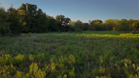 Tbd Bloodworth Road Road Bowie TX 76230