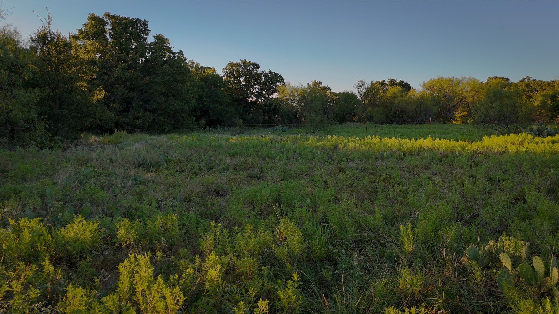 Tbd Bloodworth Road Road Bowie TX 76230