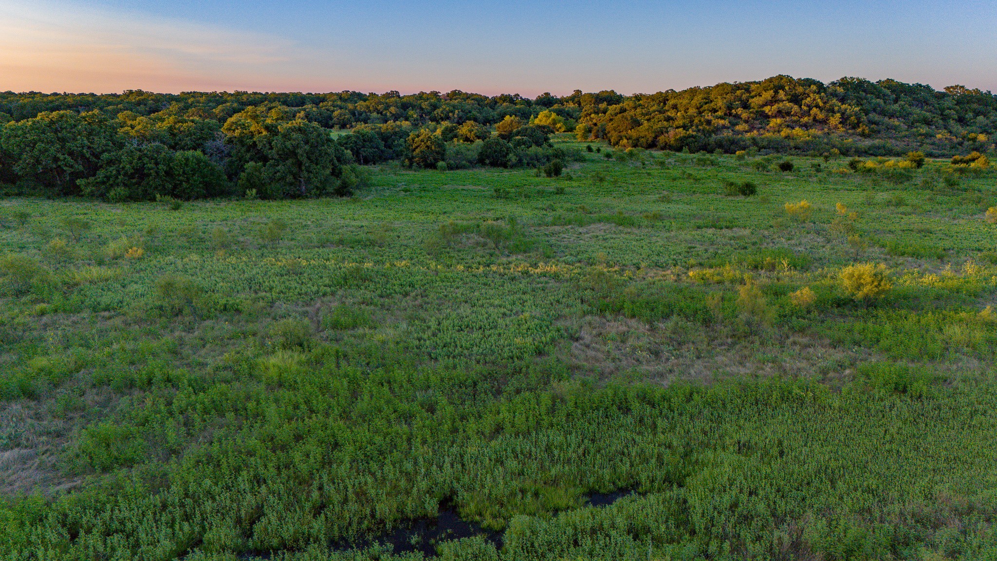 Tbd Bloodworth Road Road Bowie TX 76230