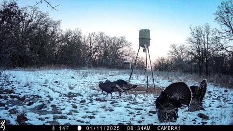 Tbd Bloodworth Road Road Bowie TX 76230