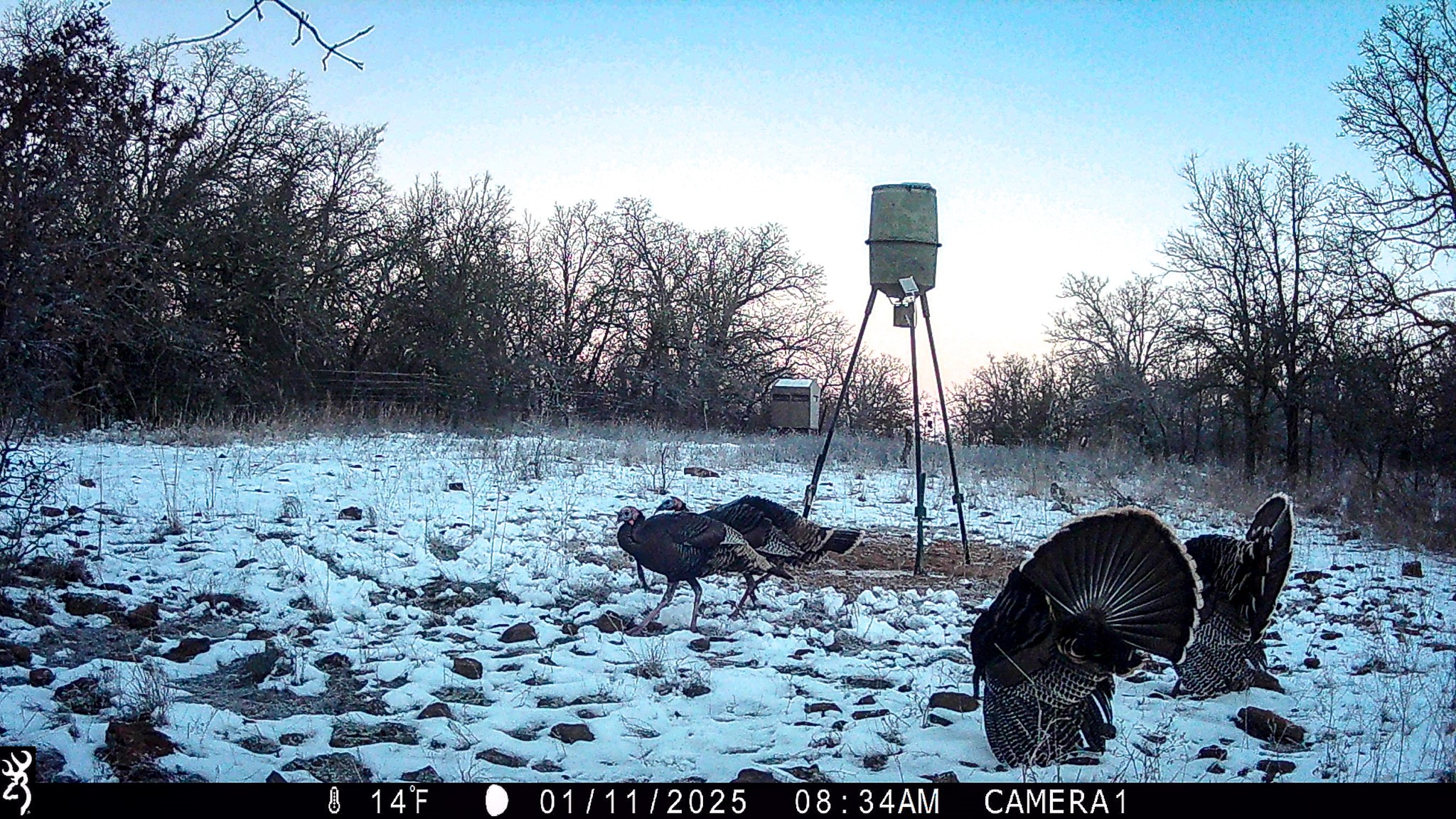 Tbd Bloodworth Road Road Bowie TX 76230