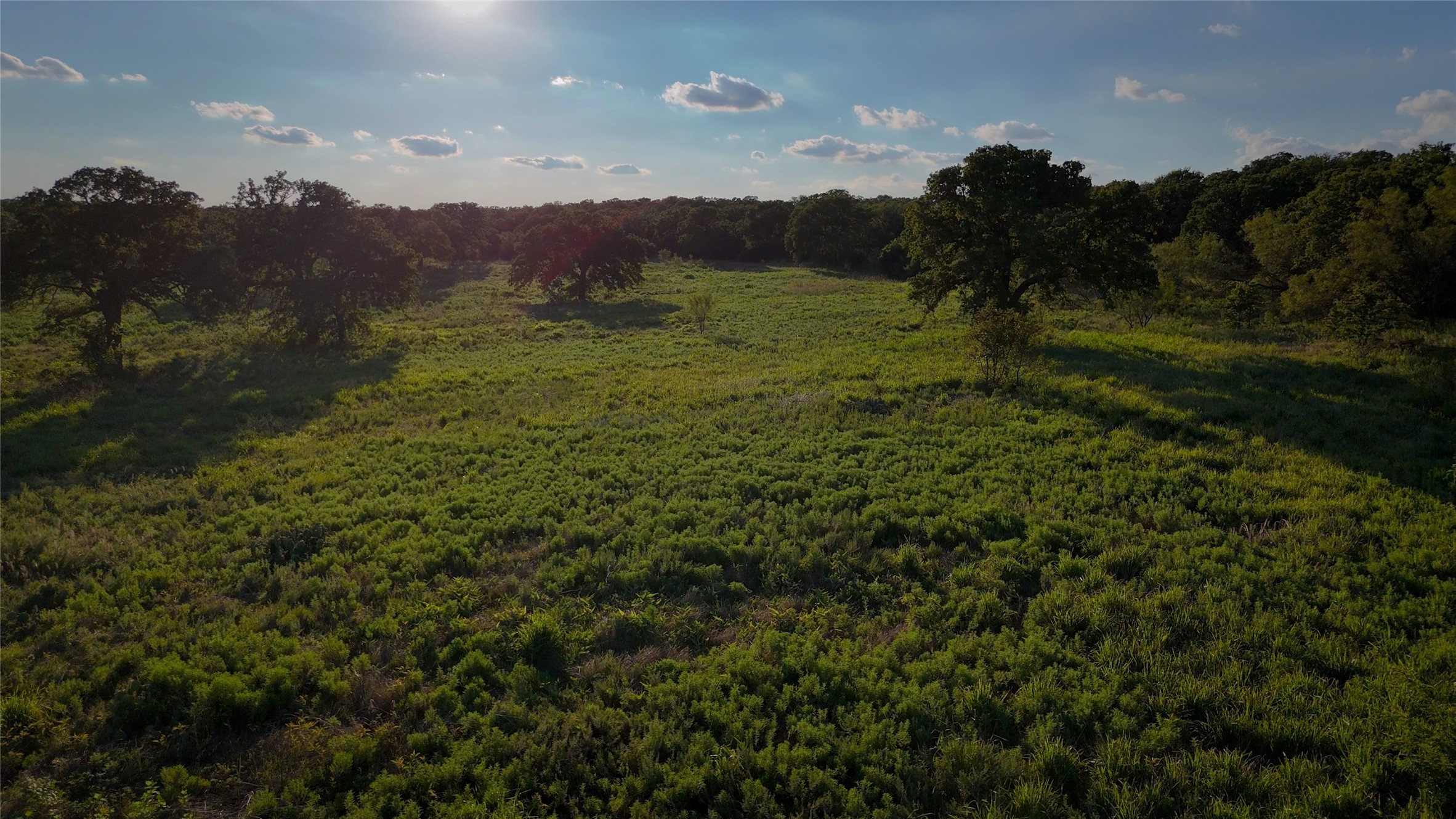 Tbd Bloodworth Road Road Bowie TX 76230