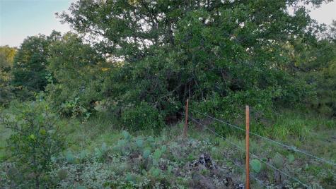 Tbd Bloodworth Road Road Bowie TX 76230