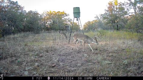 Tbd Bloodworth Road Road Bowie TX 76230