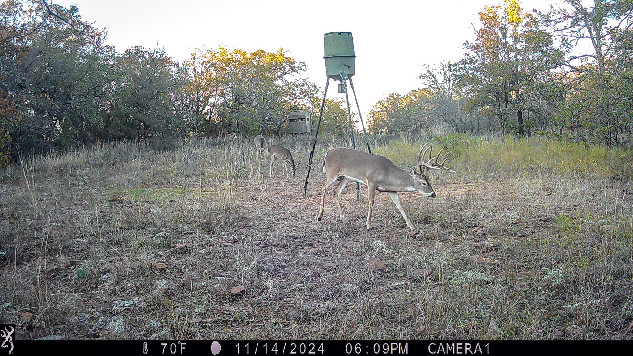 Tbd Bloodworth Road Road Bowie TX 76230