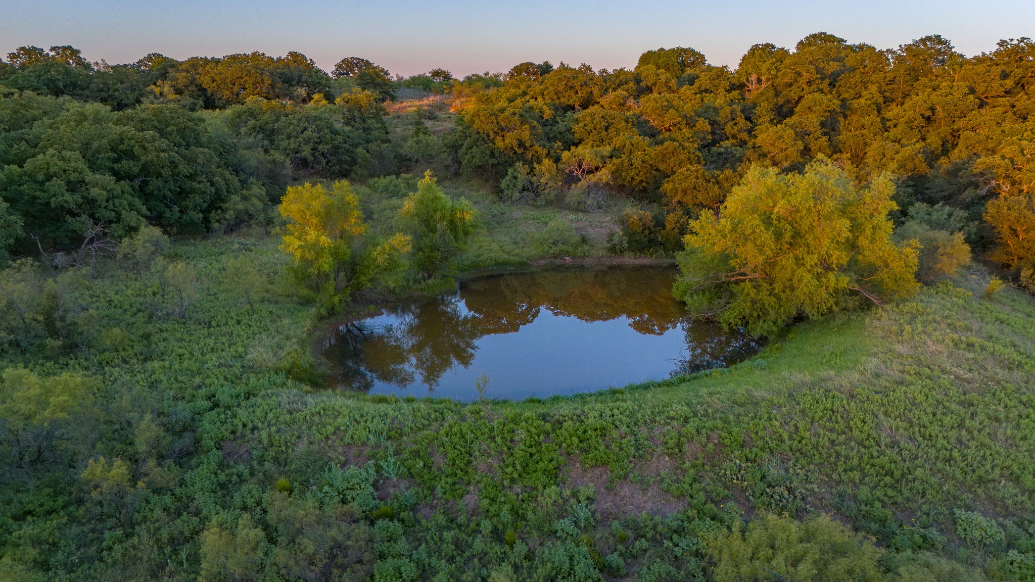 Tbd Bloodworth Road Road Bowie TX 76230