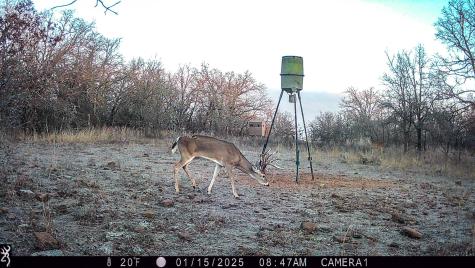 Tbd Bloodworth Road Road Bowie TX 76230