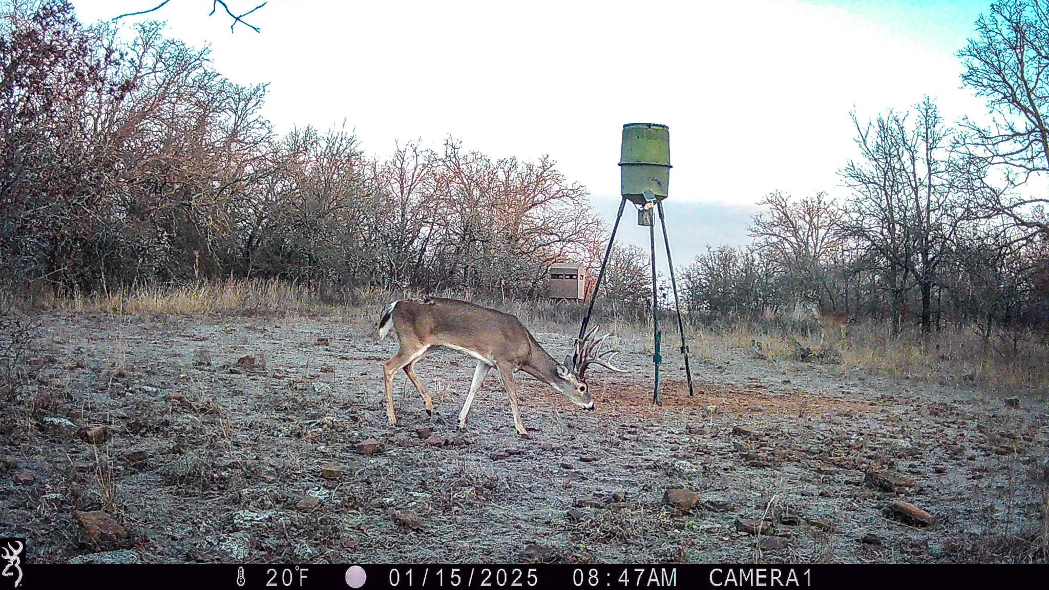 Tbd Bloodworth Road Road Bowie TX 76230