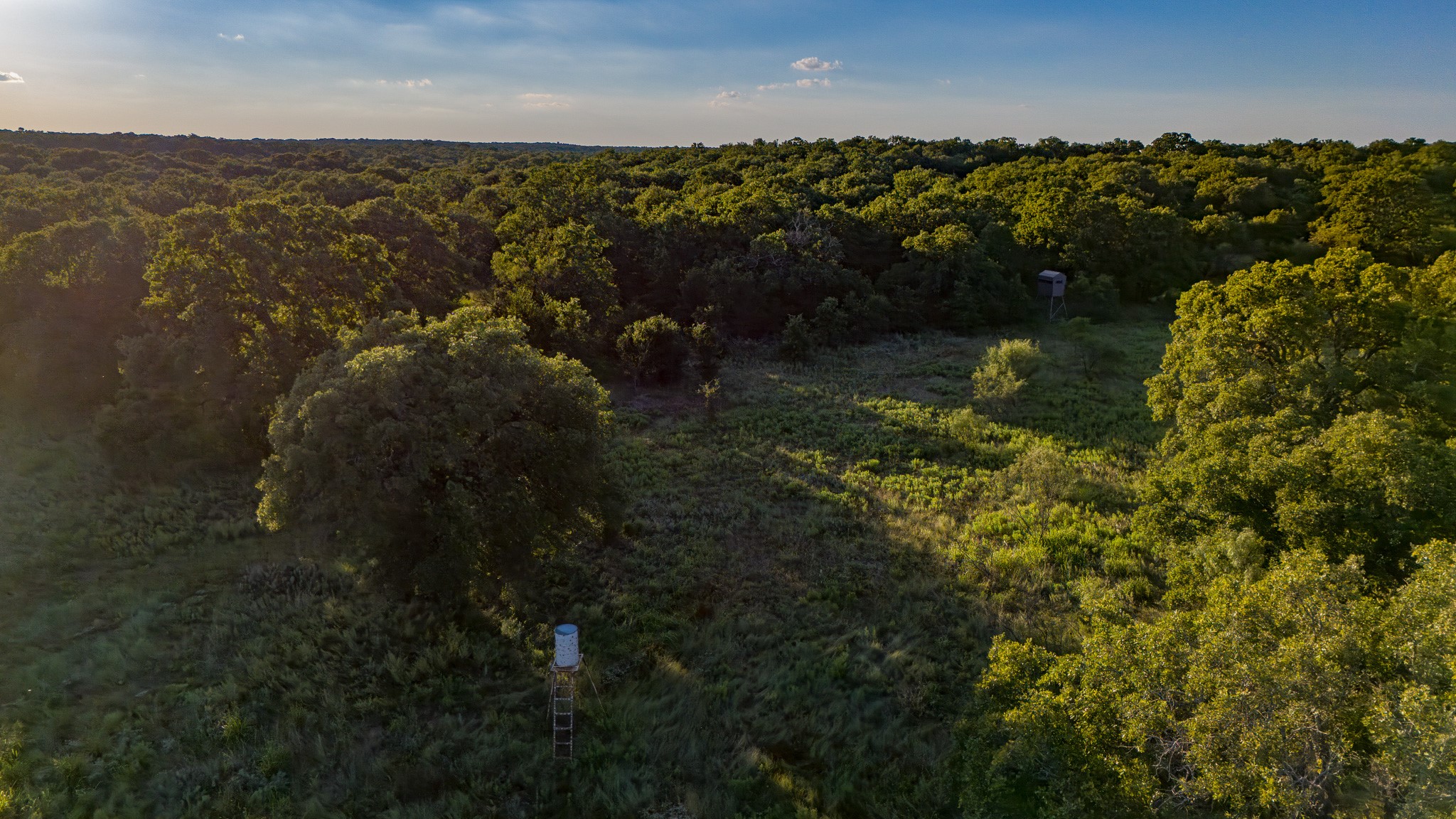 Tbd Bloodworth Road Road Bowie TX 76230