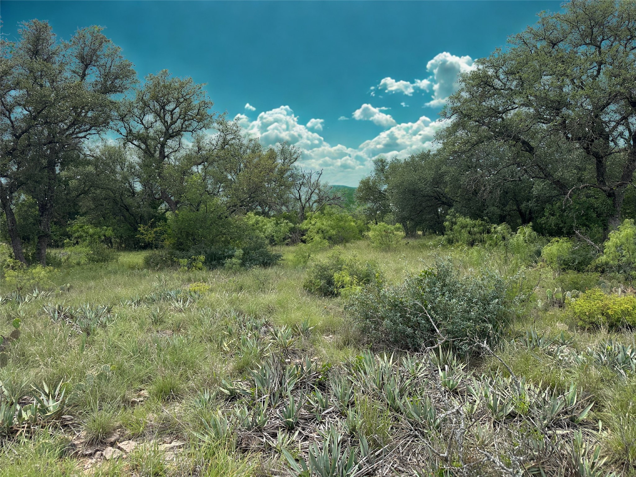 274 Summer Wind Drive Brownwood TX 76801