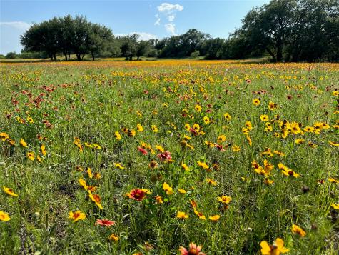 274 Summer Wind Drive Brownwood TX 76801