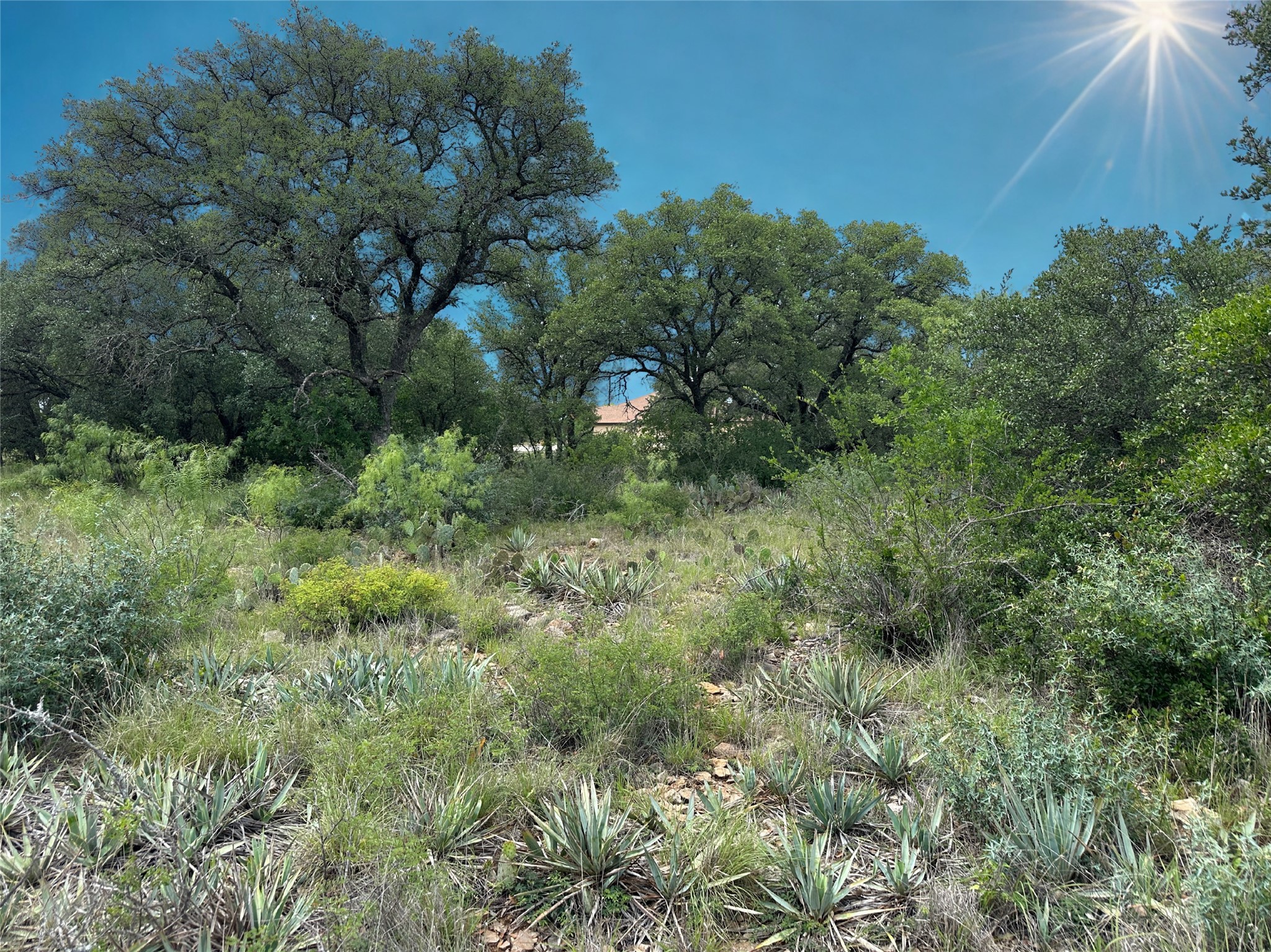 274 Summer Wind Drive Brownwood TX 76801