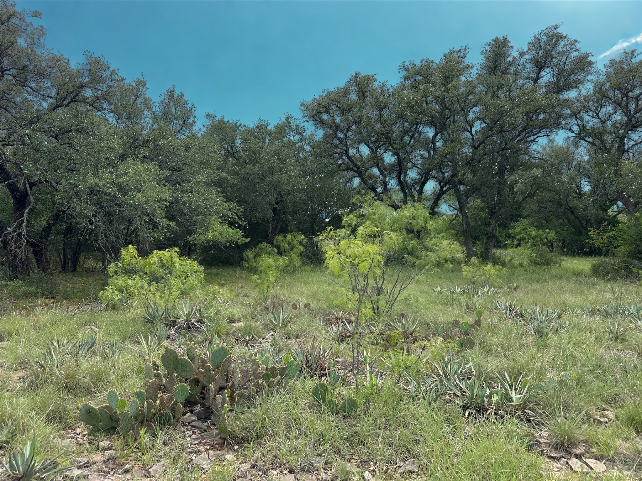 274 Summer Wind Drive Brownwood TX 76801