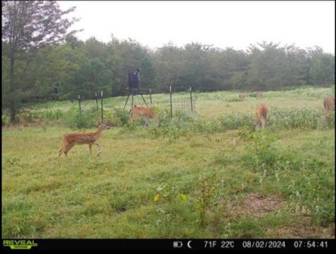 113 Ac Fm 3218 Commerce TX 75428