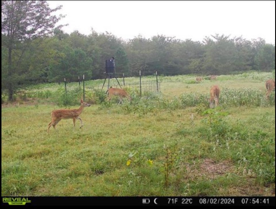 113 Ac Fm 3218 Commerce TX 75428