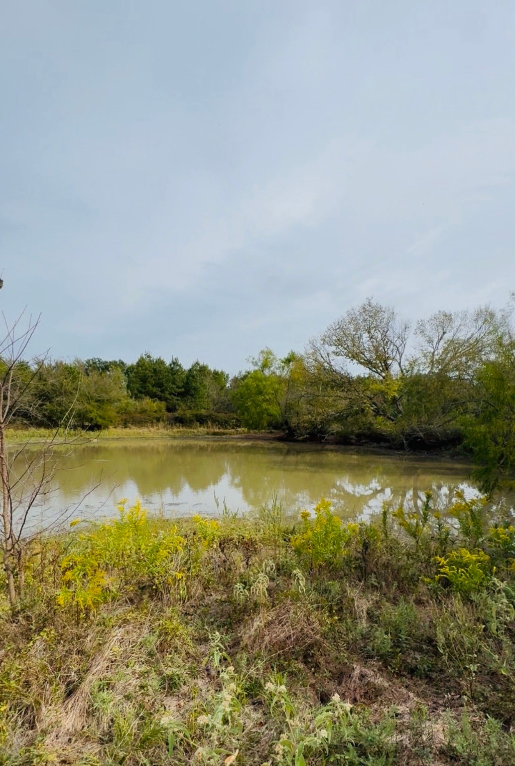 113 Ac Fm 3218 Commerce TX 75428