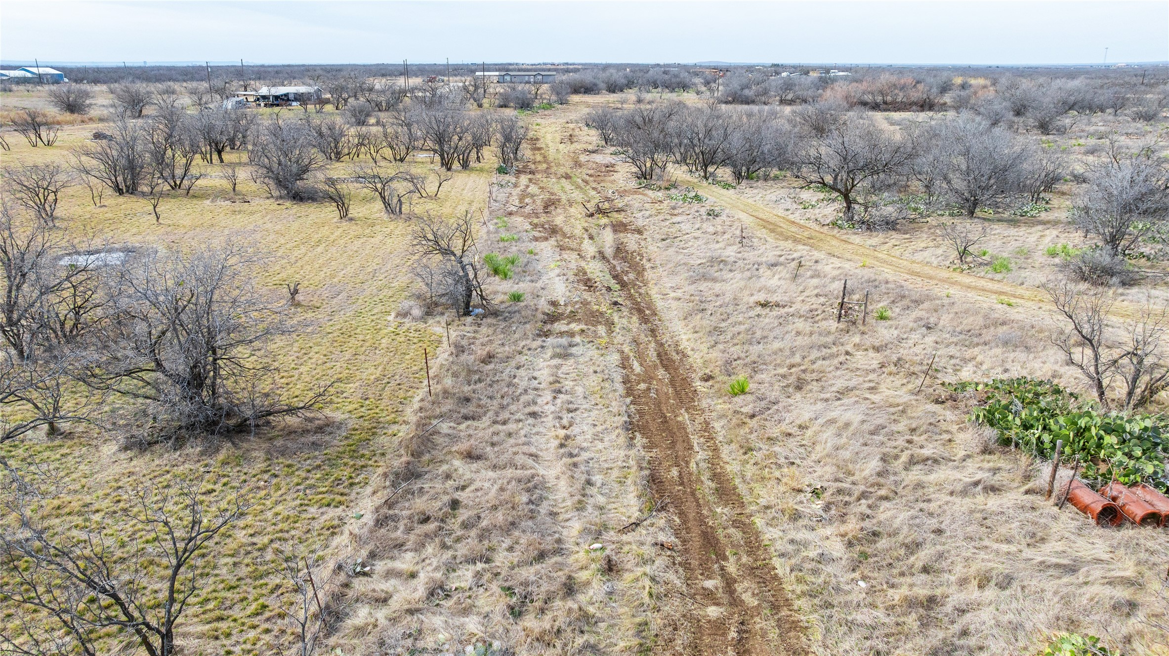 Tbd Cr 155 Abilene TX 79601