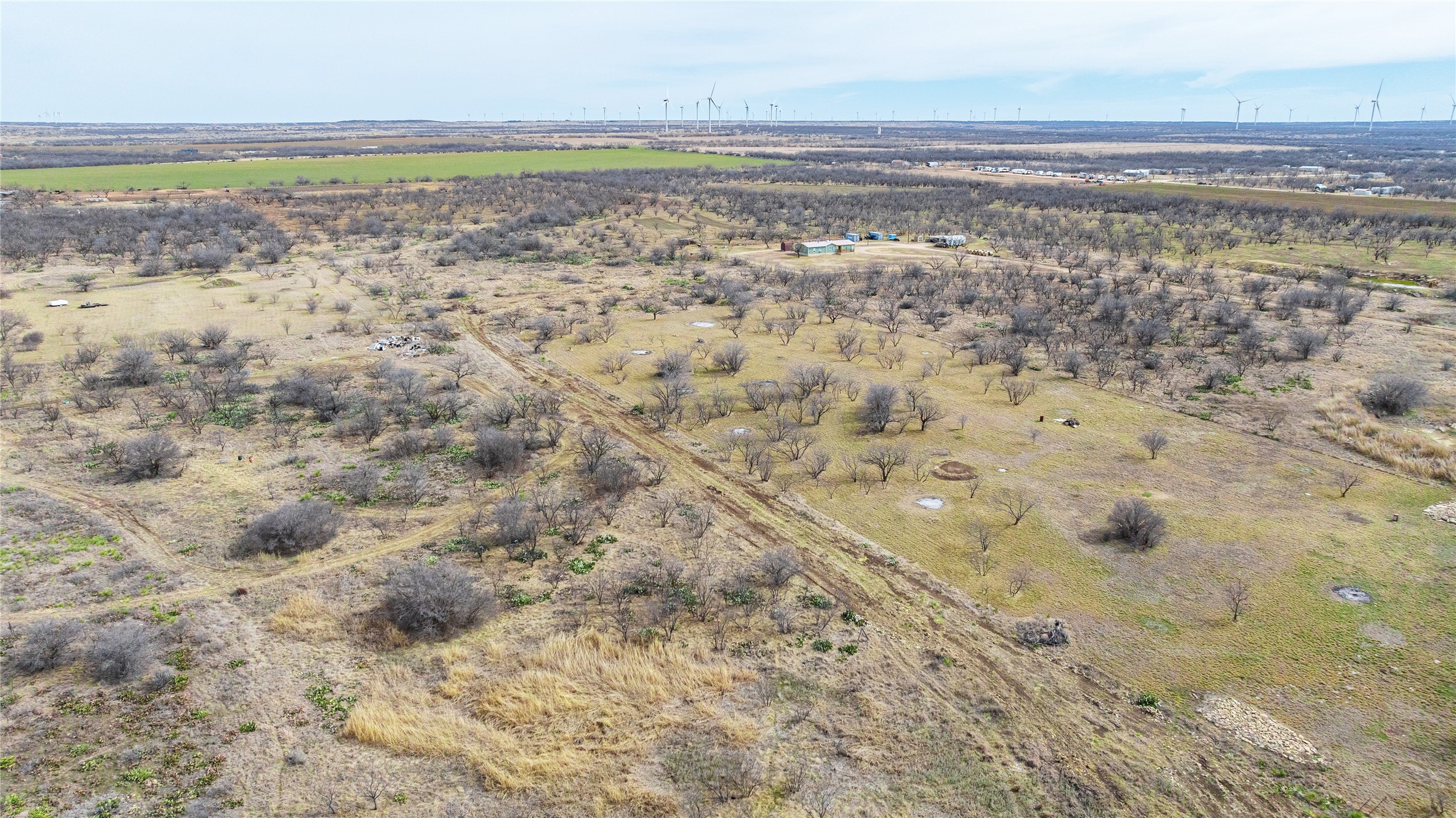 Tbd Cr 155 Abilene TX 79601