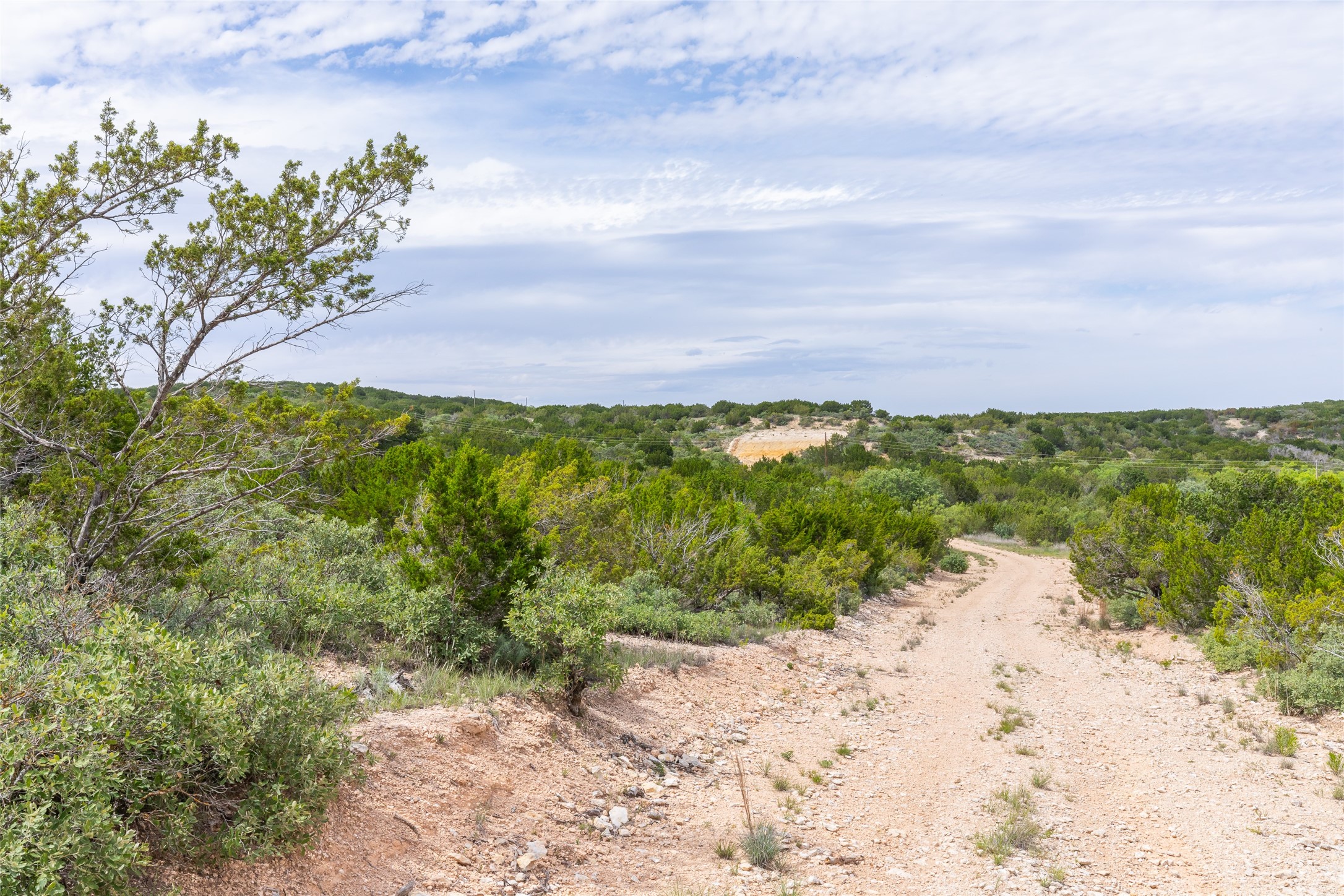 Tbd 90 Cr 220 Wingate TX 79566