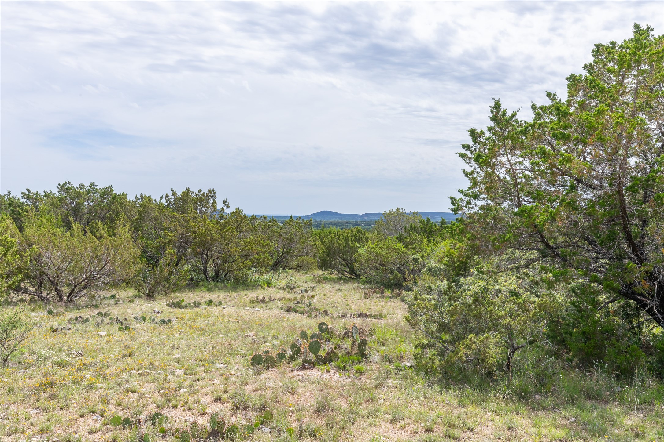 Tbd 90 Cr 220 Wingate TX 79566