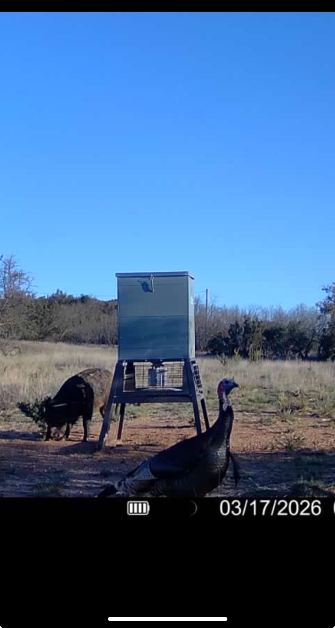Tbd 90 Cr 220 Wingate TX 79566