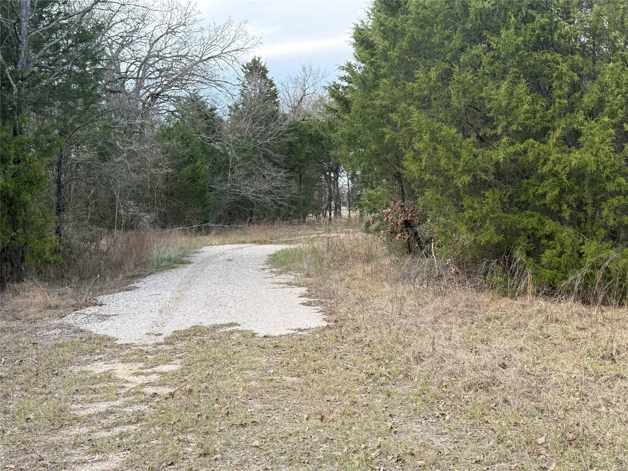 10230 Pr 5403 Malakoff TX 75148