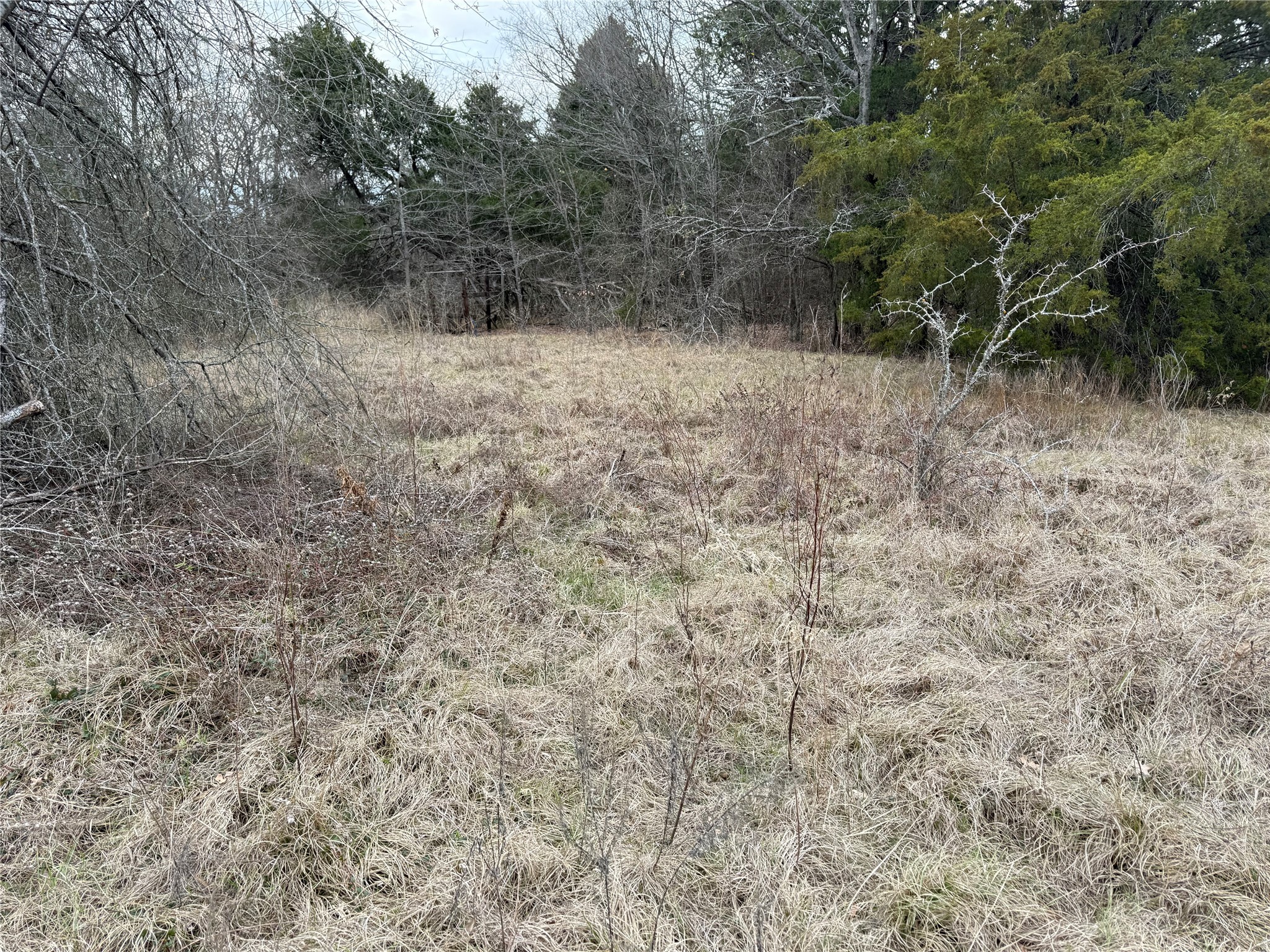 10230 Pr 5403 Malakoff TX 75148