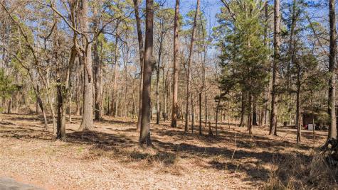 Tbd King Larry Scroggins TX 75480