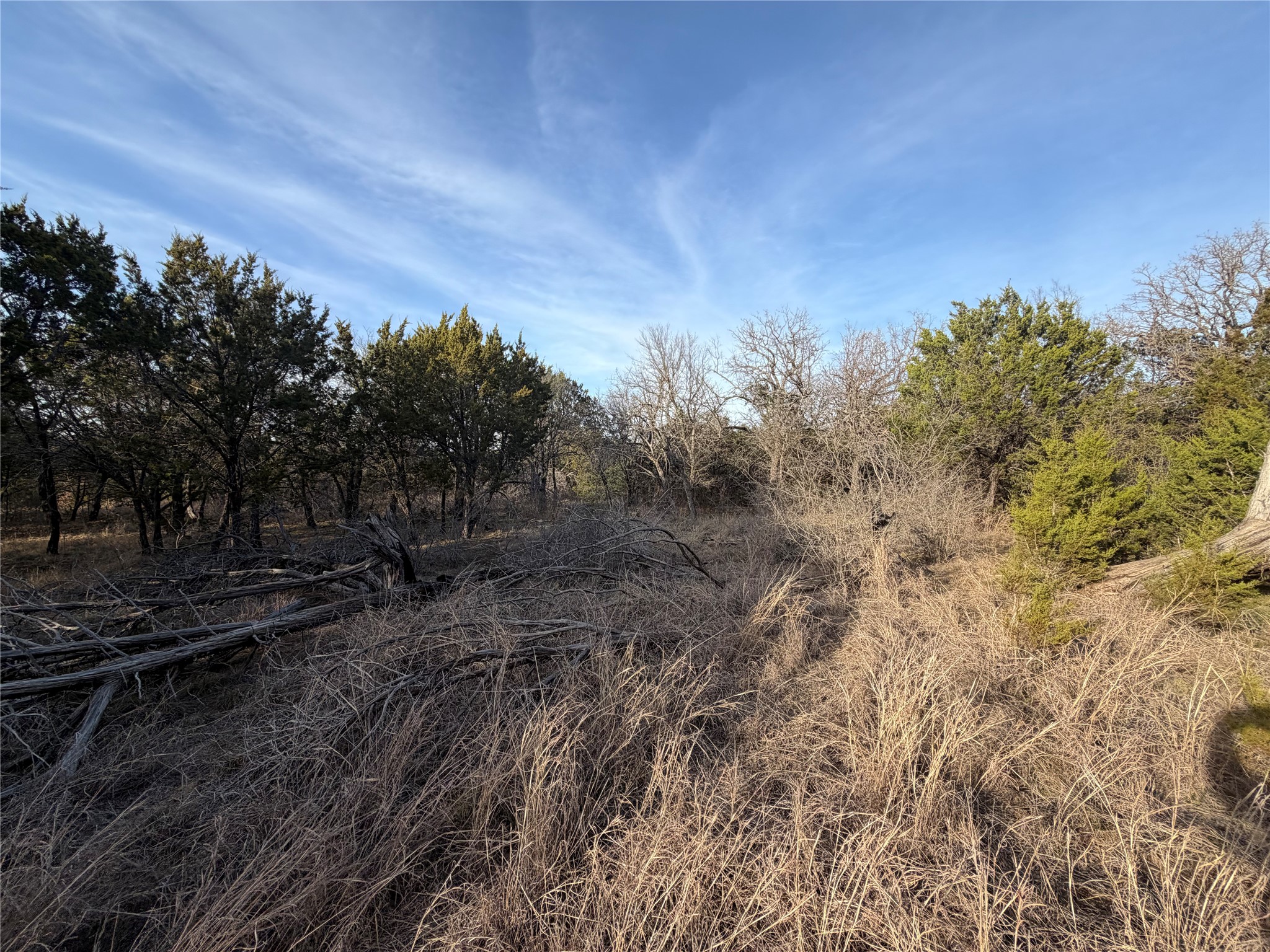 1143 Prairie Falcon Court Graford TX 76449