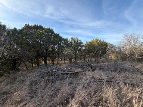 1143 Prairie Falcon Court Graford TX 76449