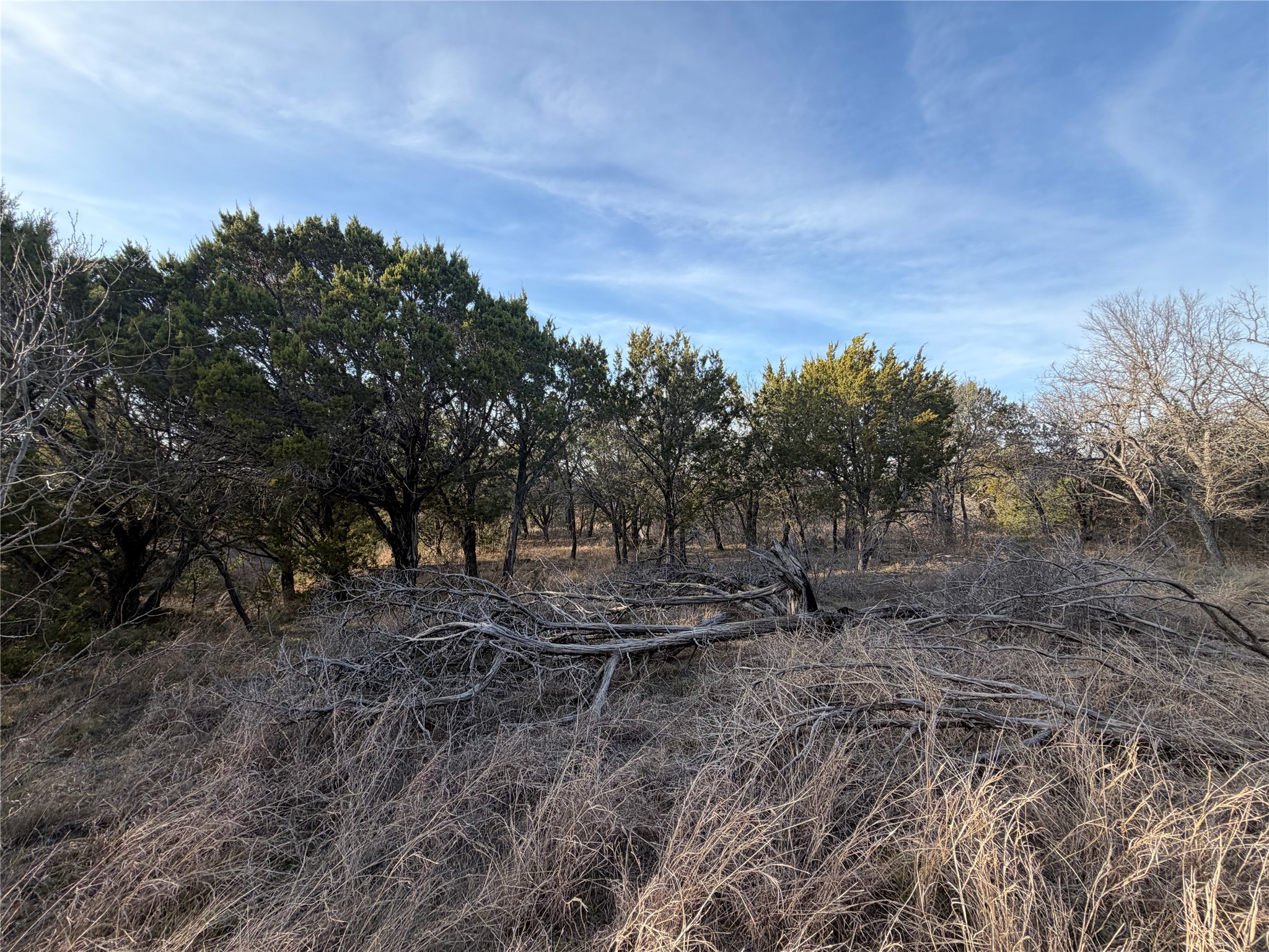 1143 Prairie Falcon Court Graford TX 76449