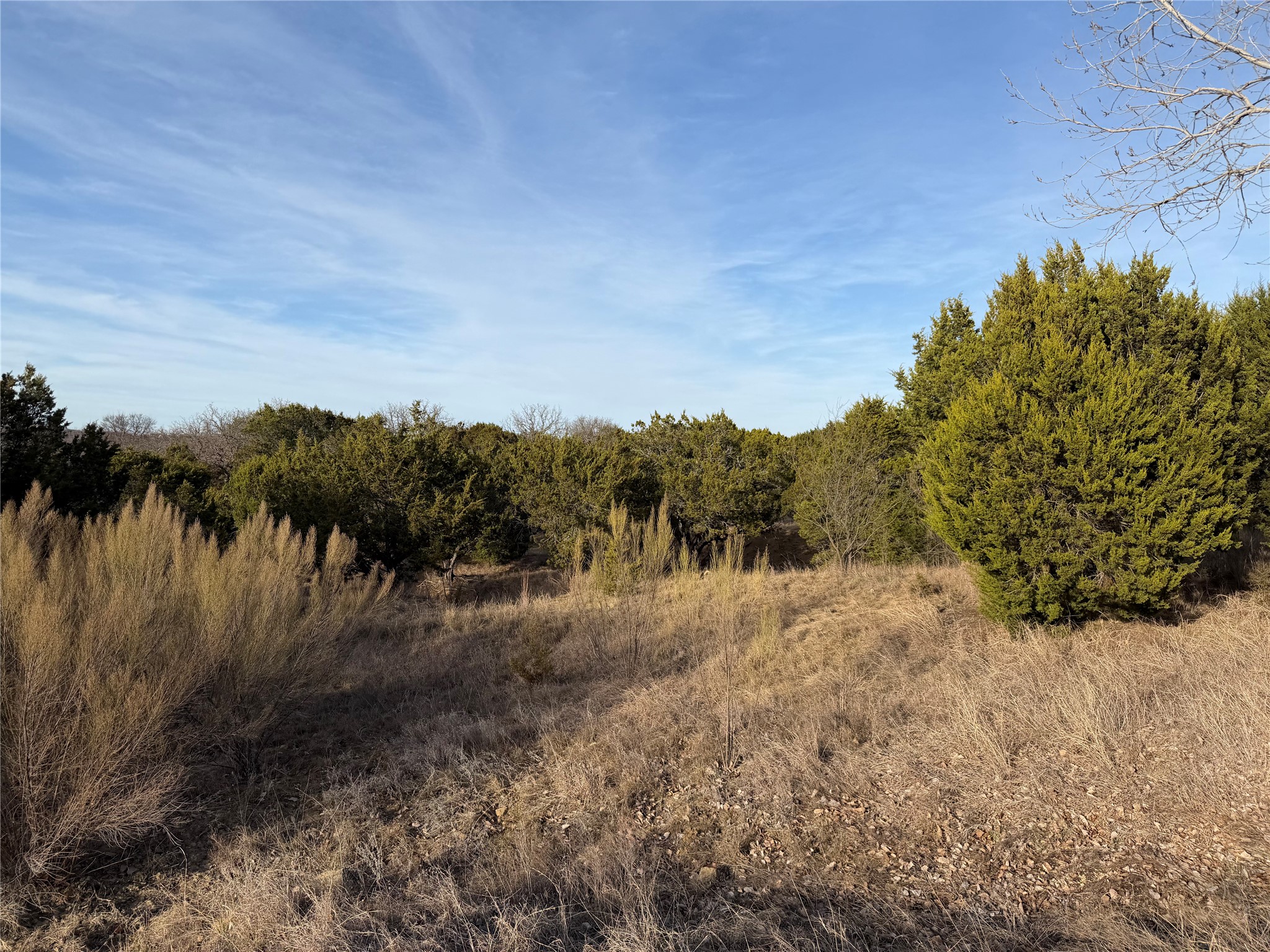1143 Prairie Falcon Court Graford TX 76449
