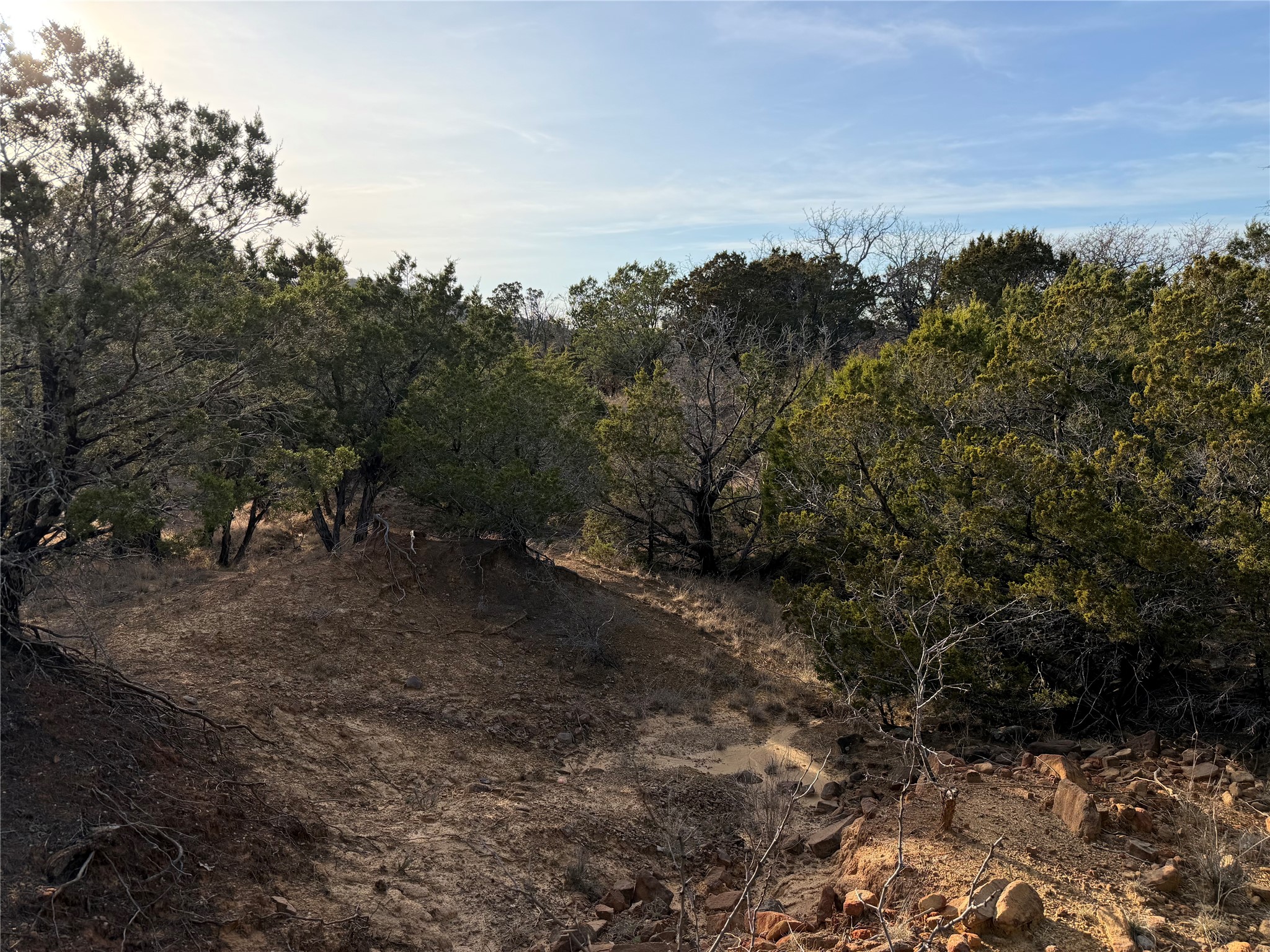 1143 Prairie Falcon Court Graford TX 76449