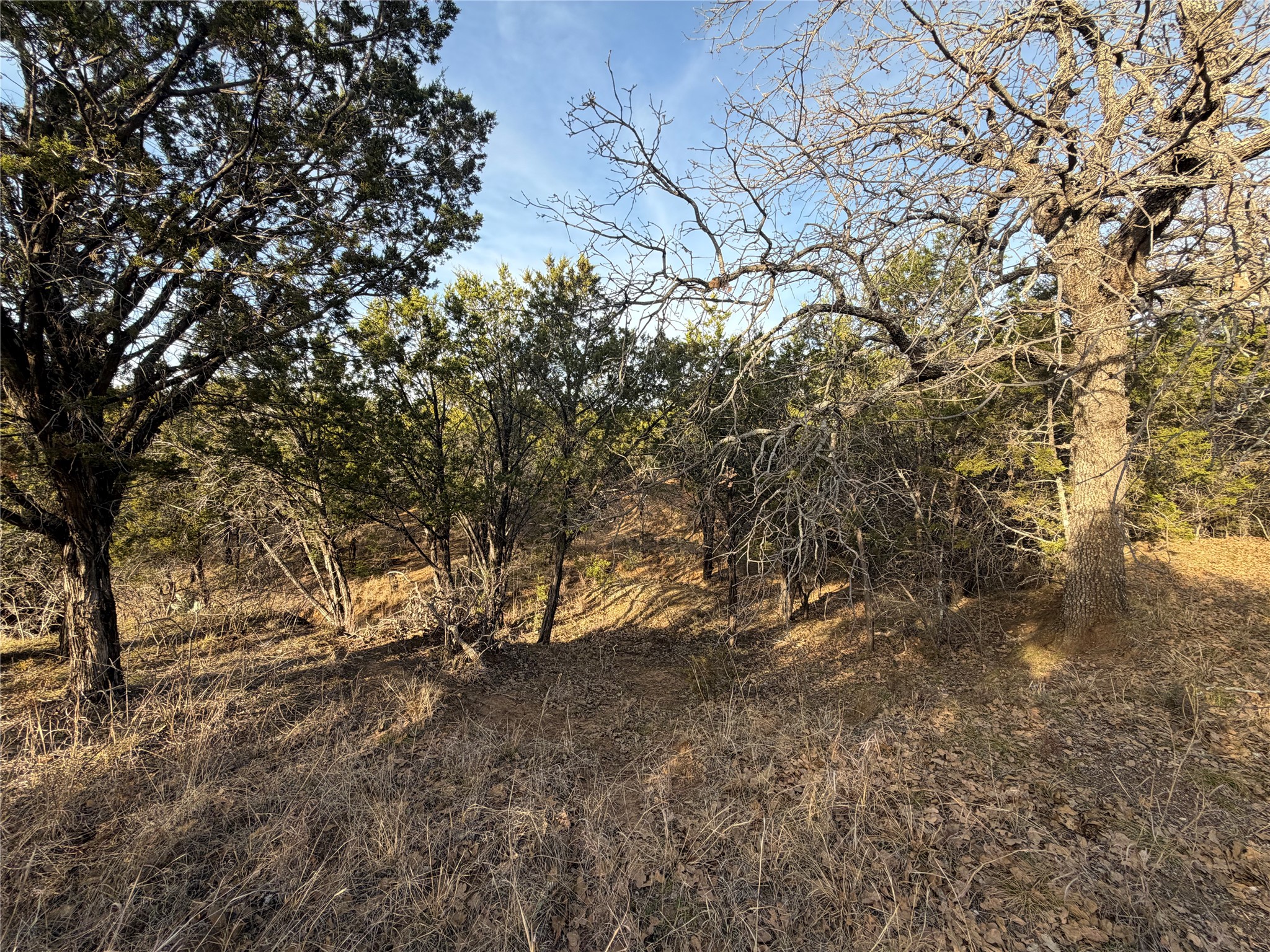 1143 Prairie Falcon Court Graford TX 76449