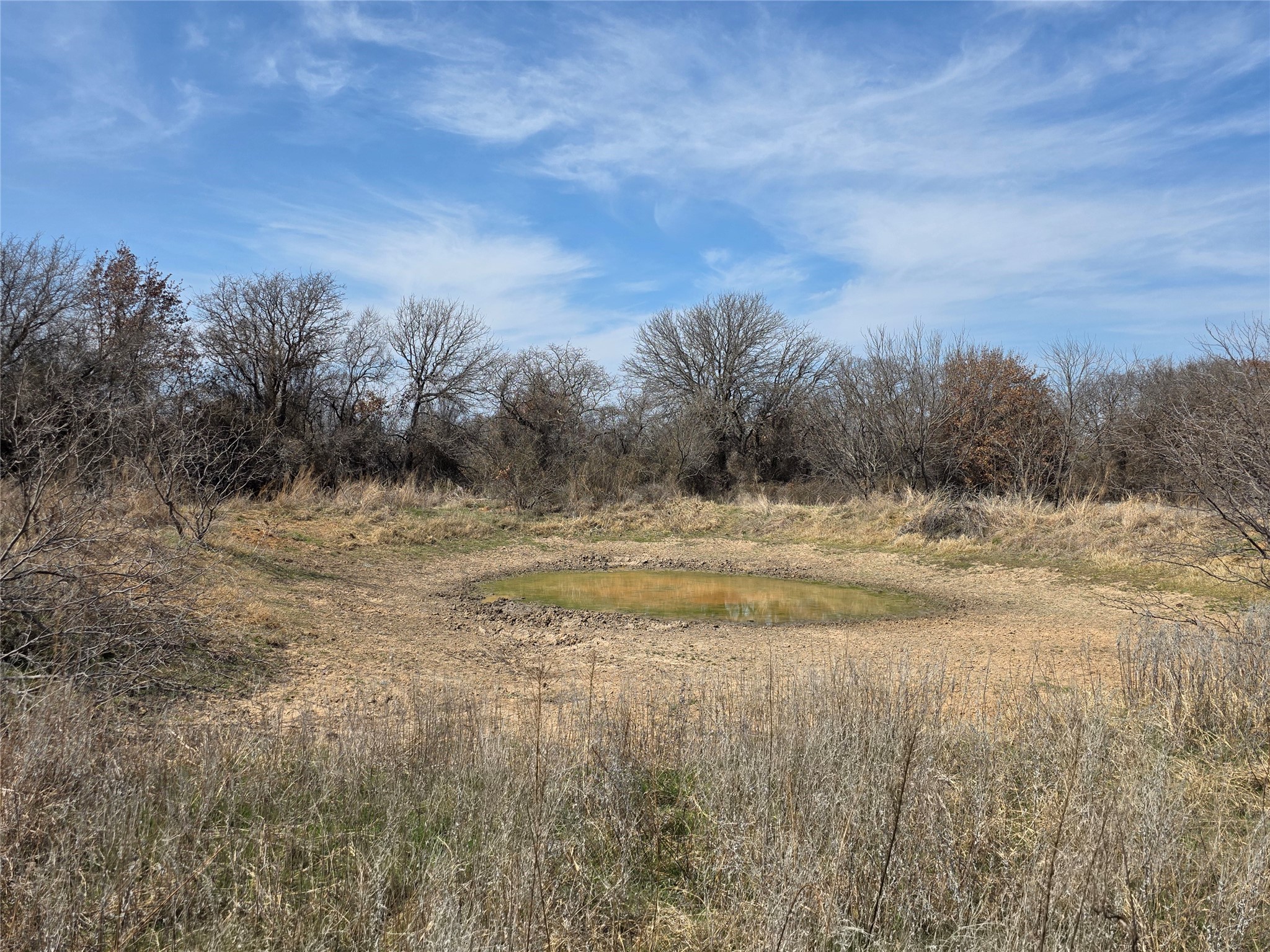 1000 County Road 375 Rising Star TX 76471