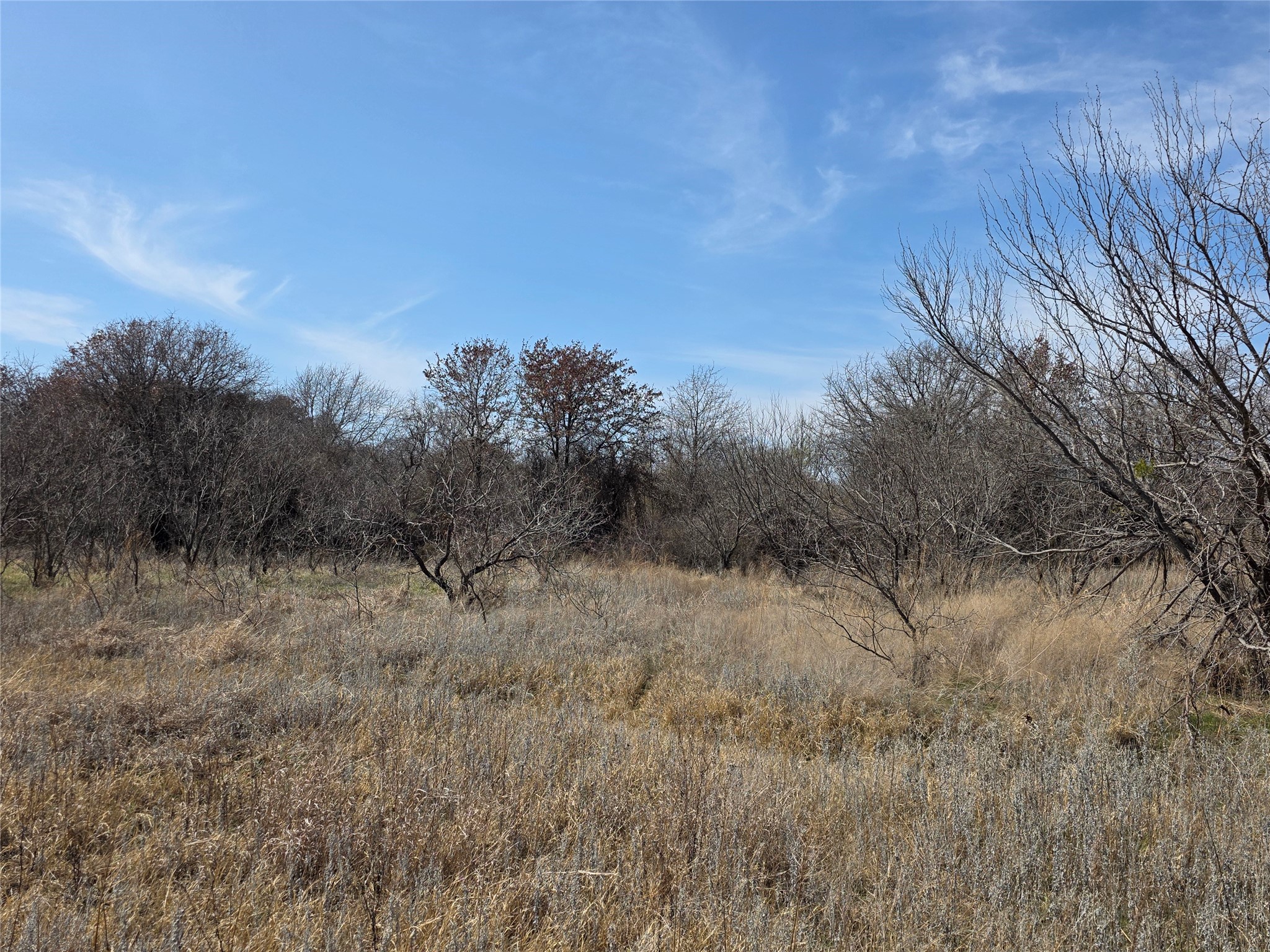 1000 County Road 375 Rising Star TX 76471