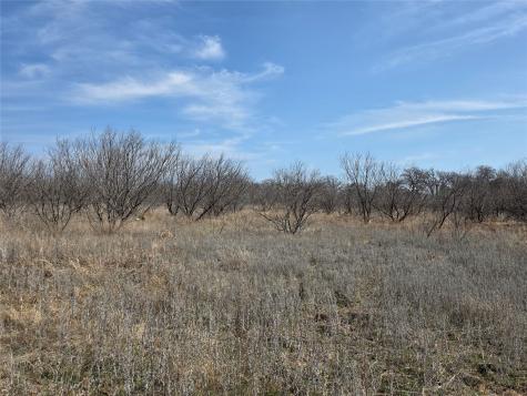 1000 County Road 375 Rising Star TX 76471