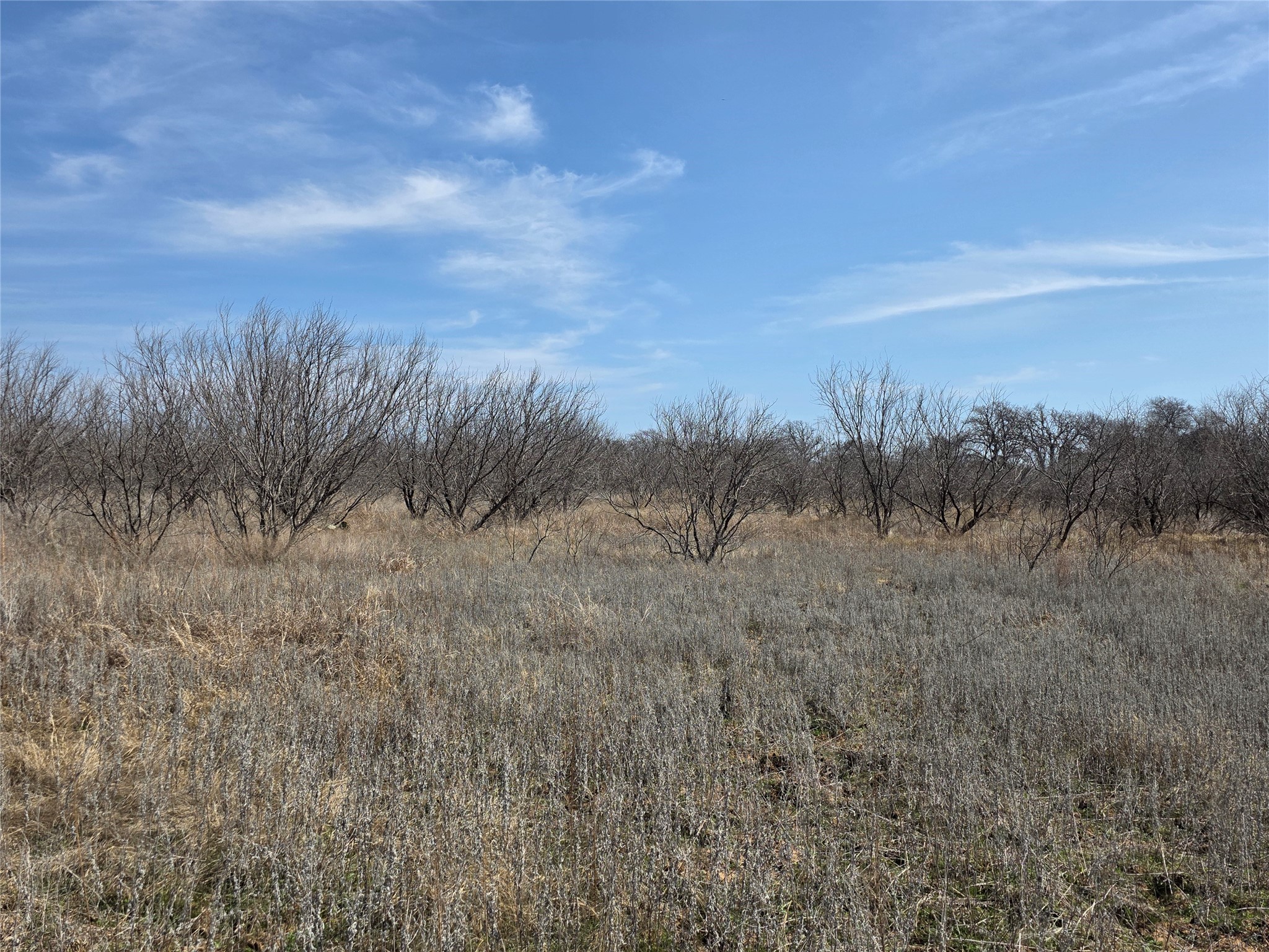 1000 County Road 375 Rising Star TX 76471