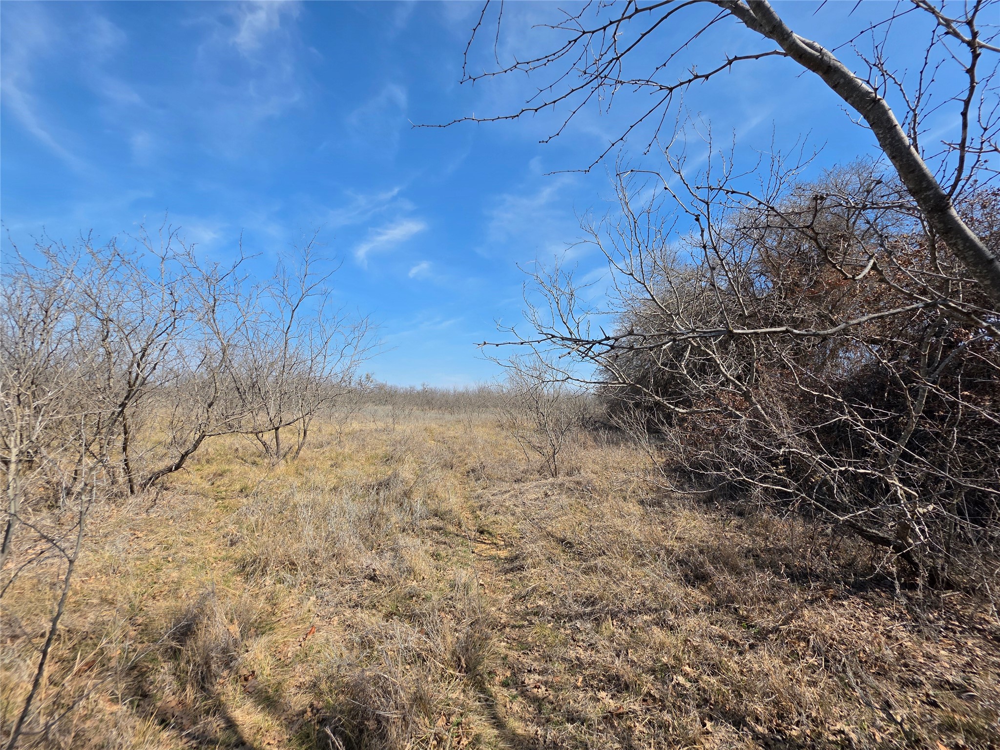 1000 County Road 375 Rising Star TX 76471