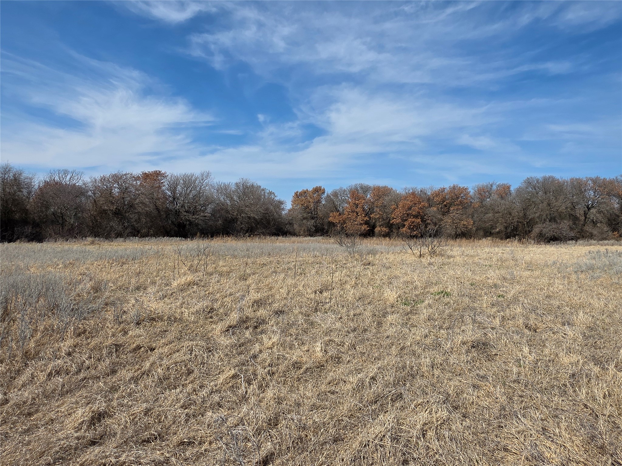 1000 County Road 375 Rising Star TX 76471