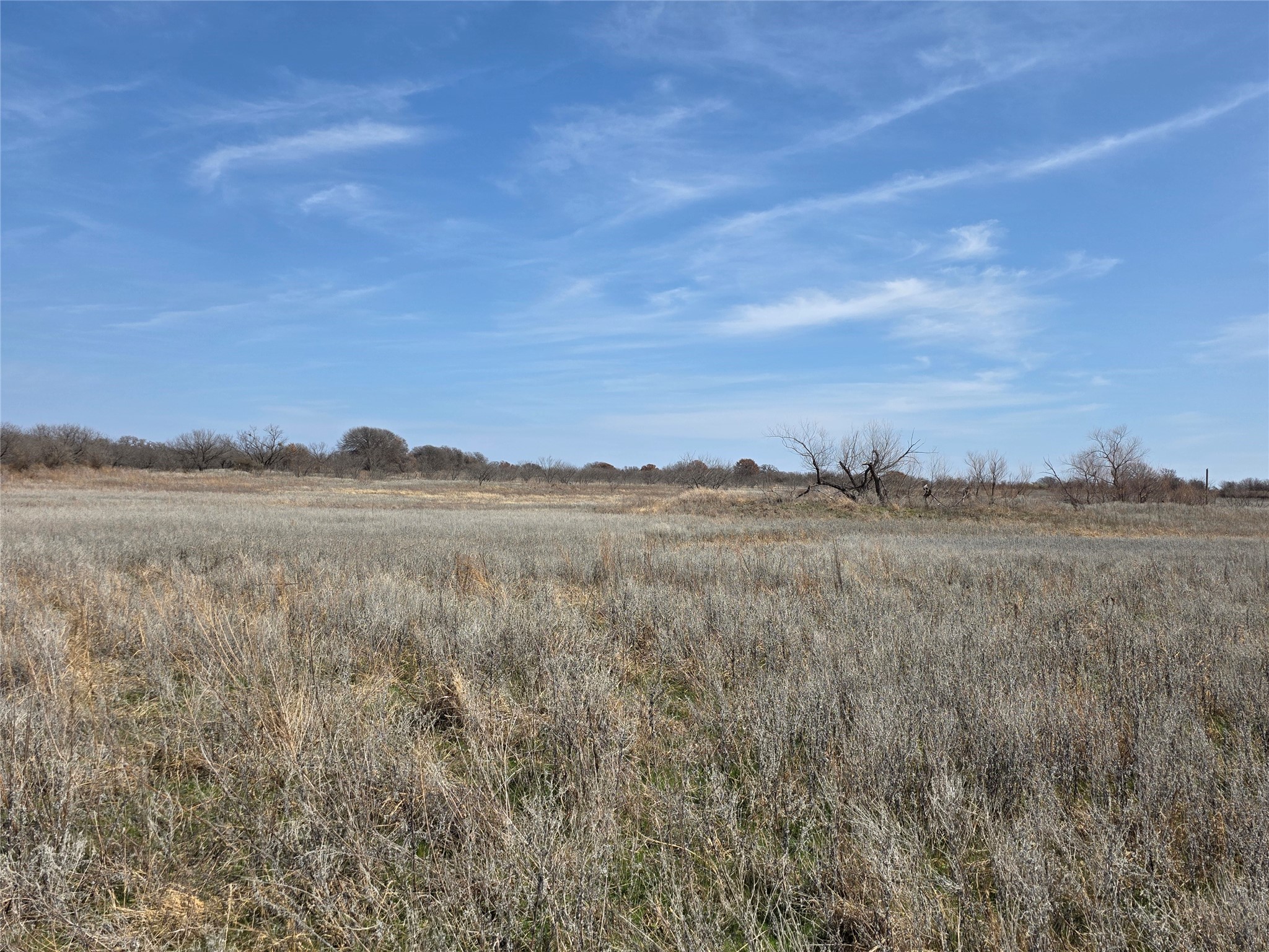 1000 County Road 375 Rising Star TX 76471
