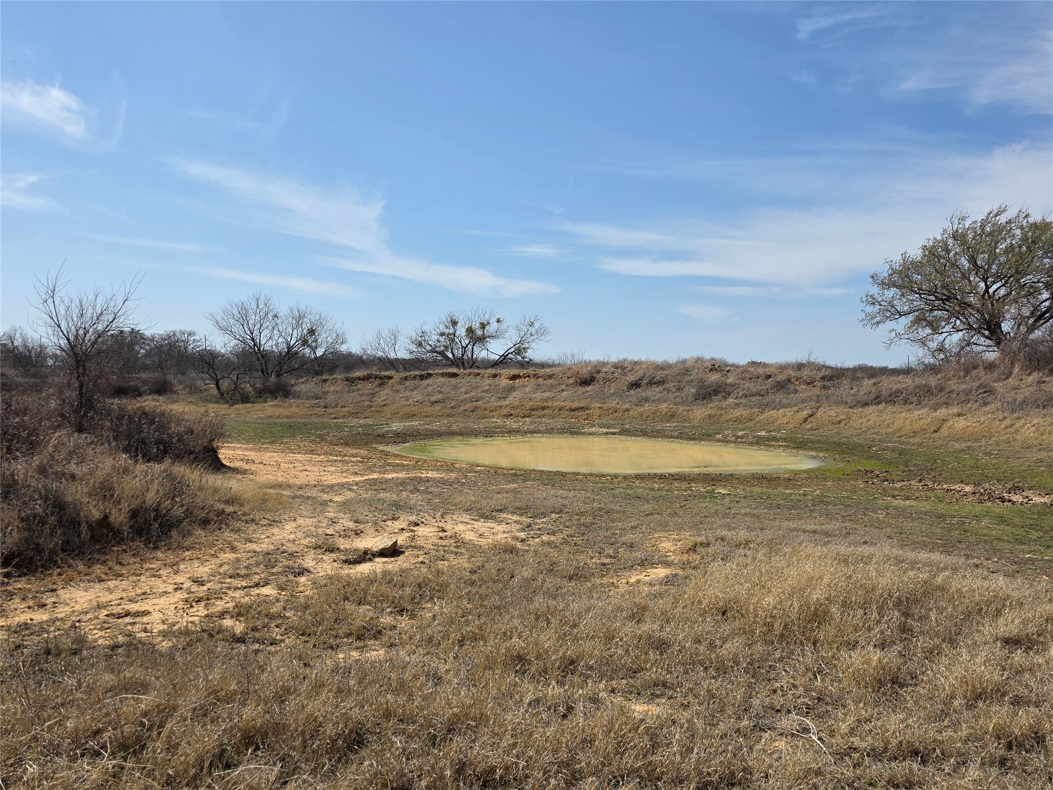 1000 County Road 375 Rising Star TX 76471