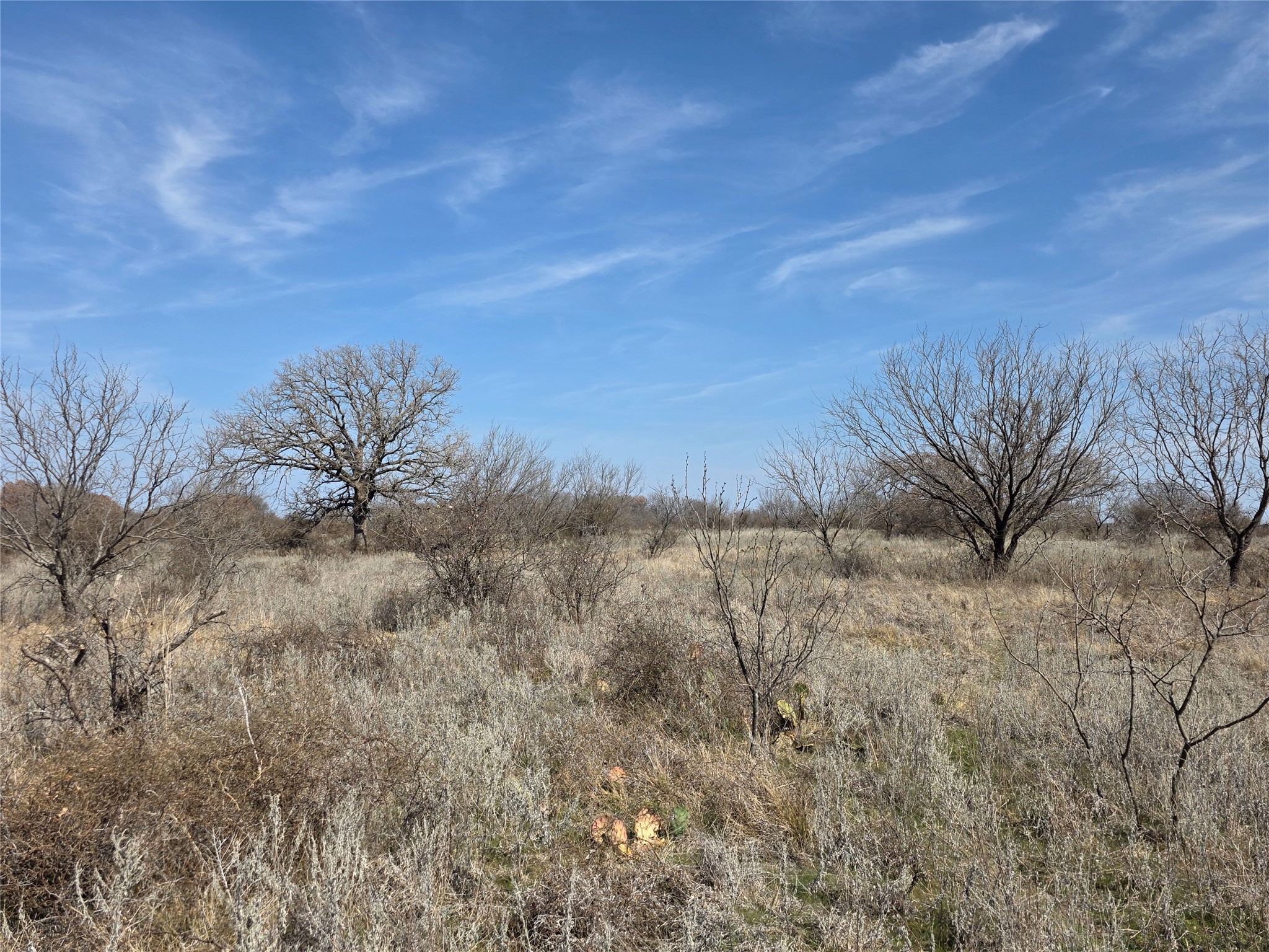 1000 County Road 375 Rising Star TX 76471