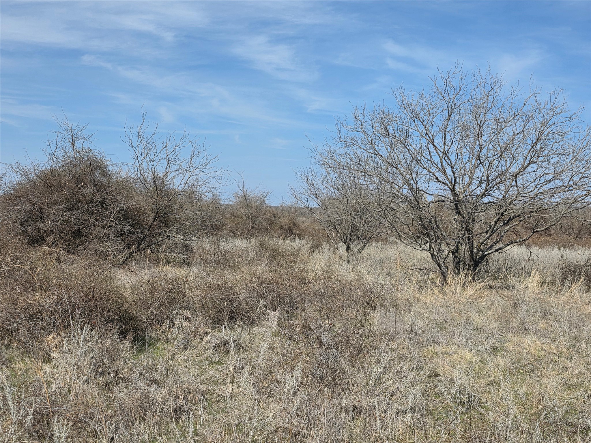 1000 County Road 375 Rising Star TX 76471