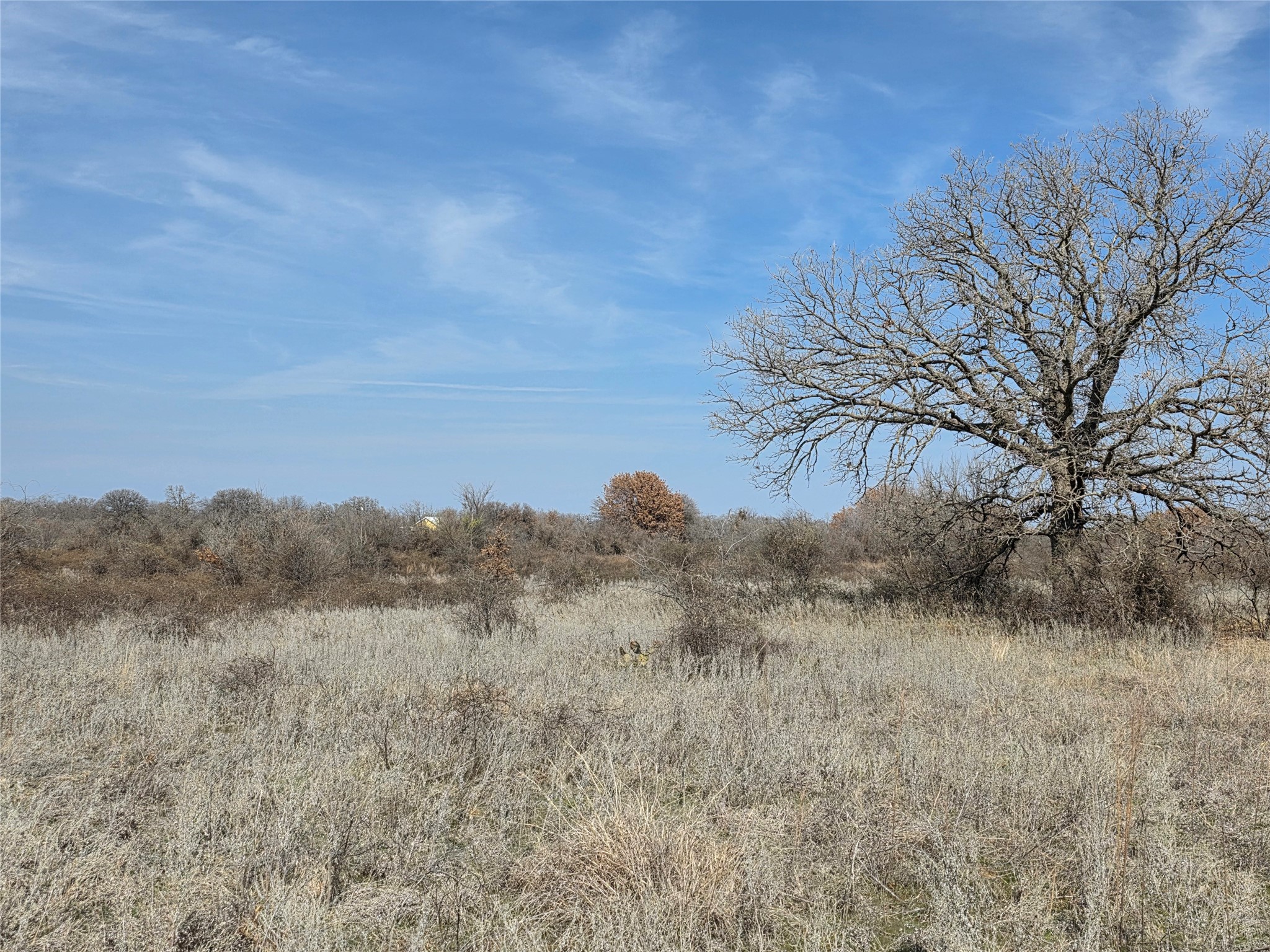 1000 County Road 375 Rising Star TX 76471