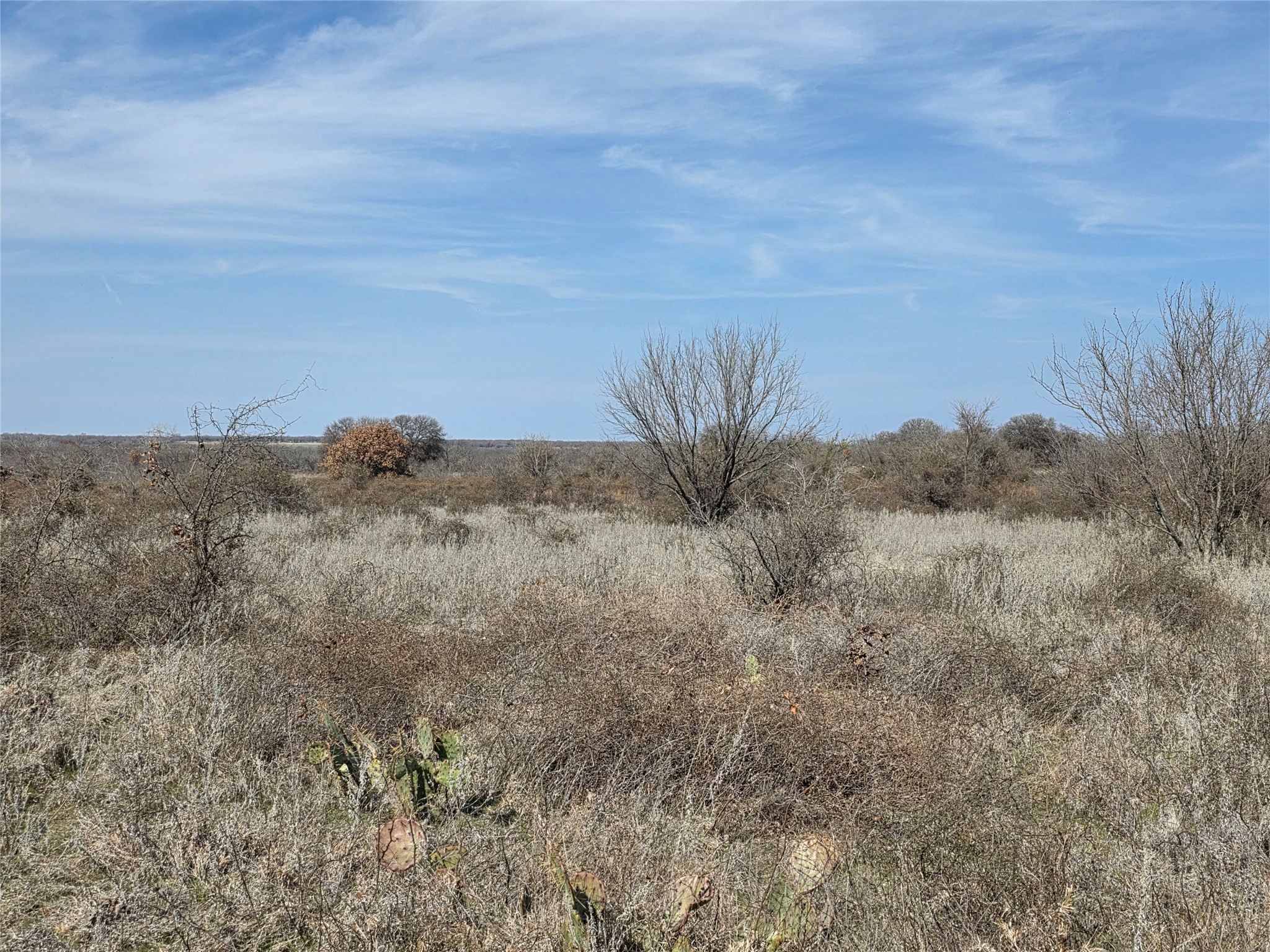 1000 County Road 375 Rising Star TX 76471